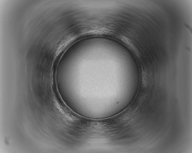 X0000100360486200806201608