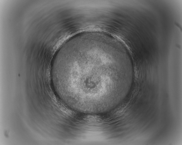 X0000100360487200806201608