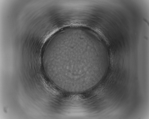 X0000100360488200806201608