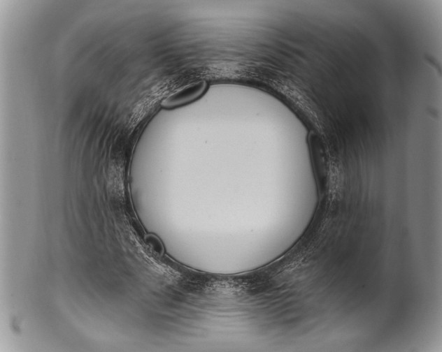 X0000100360489200806201608