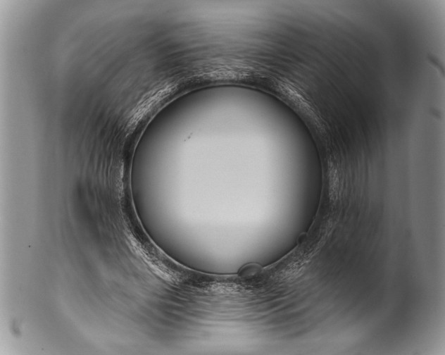 X0000100360490200806201608