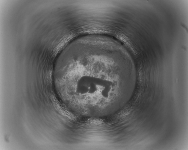 X0000100360491200806201608