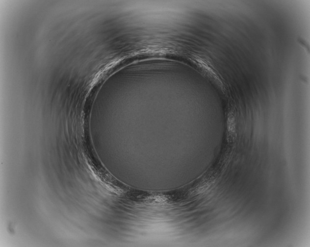 X0000100360492200806201608