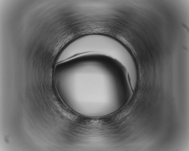 X0000100360493200806201608