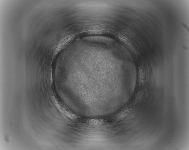 X0000100360494200806201608