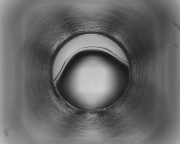 X0000100360495200806201608