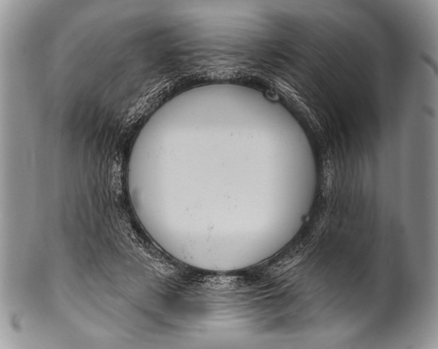 X0000100360497200806201608