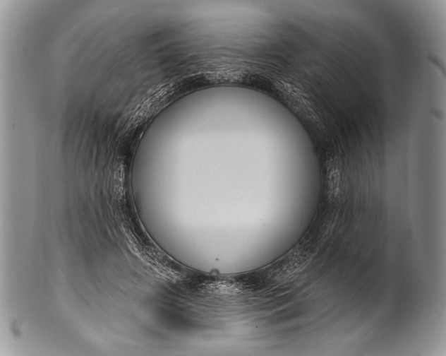 X0000100360498200806201608