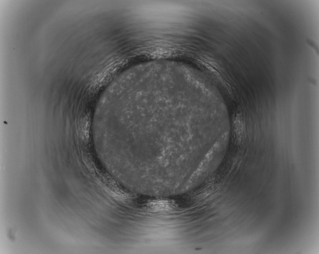 X0000100360499200806201608