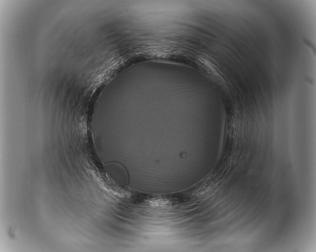 X0000100360500200806201608