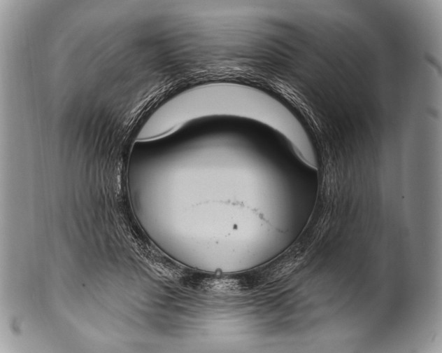 X0000100360501200806201608