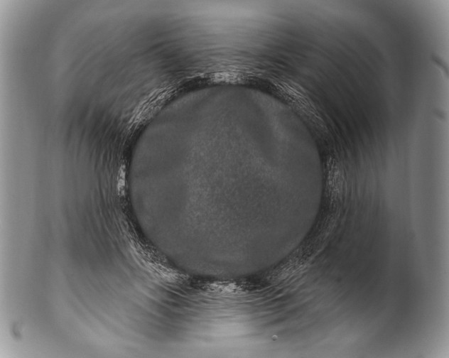 X0000100360502200806201608