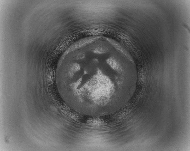 X0000100360503200806201608