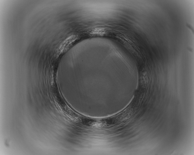 X0000100360504200806201608