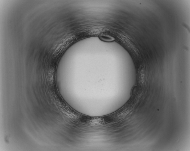 X0000100360505200806201608