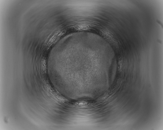 X0000100360506200806201608