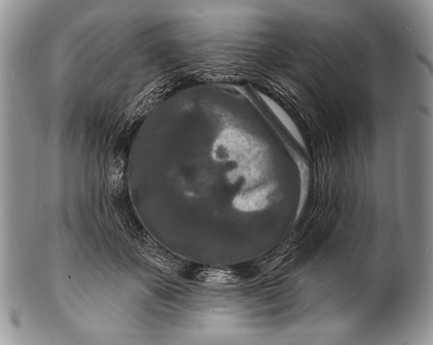 X0000100360507200806201608