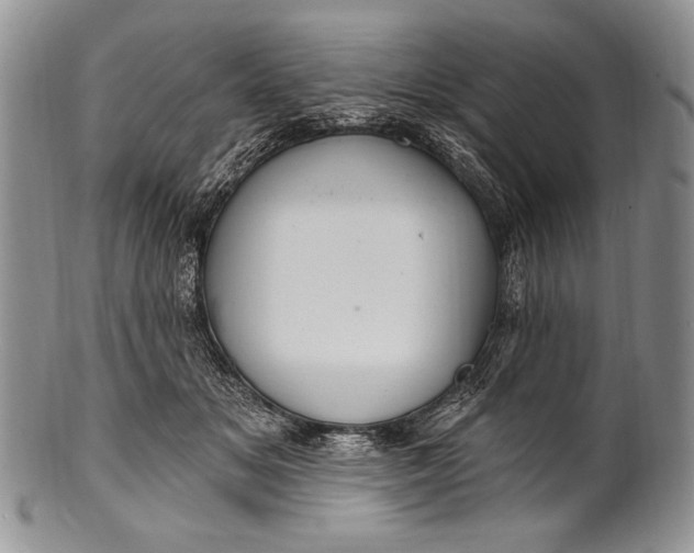 X0000100360509200806201608