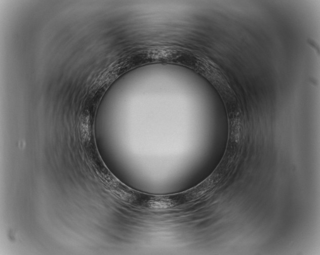 X0000100360510200806201608