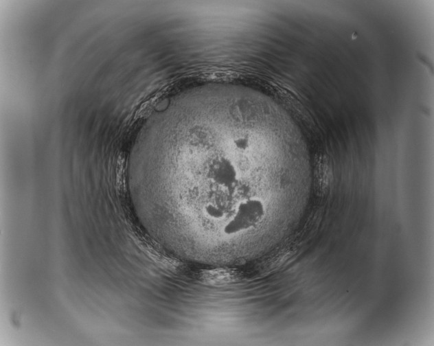 X0000100360511200806201608