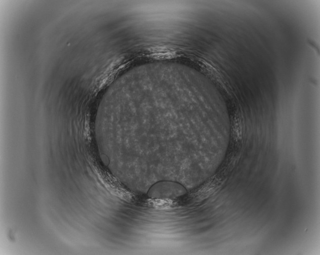 X0000100360512200806201608