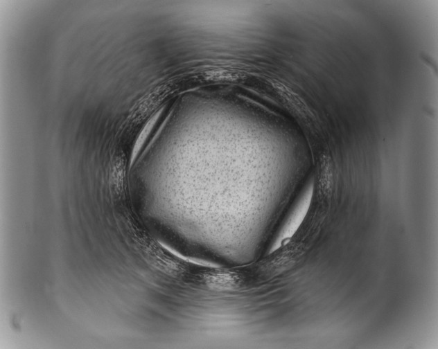 X0000100360513200806201608