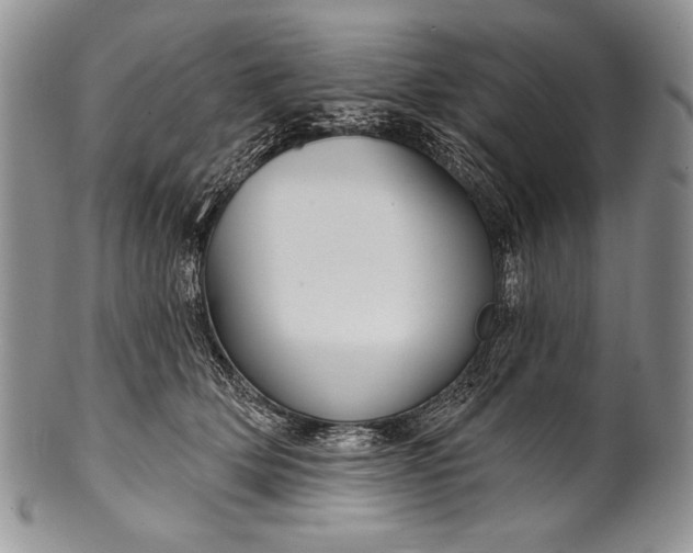 X0000100360514200806201608