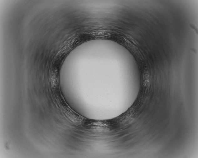 X0000100360515200806201607