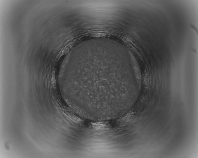 X0000100360516200806201607