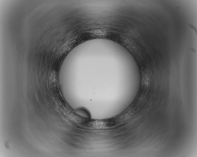 X0000100360518200806201607