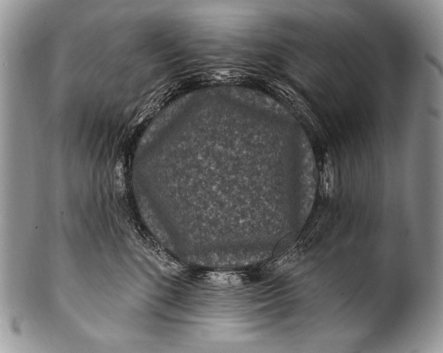 X0000100360520200806201607