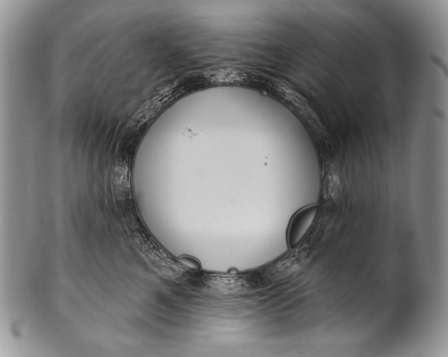 X0000100360521200806201607