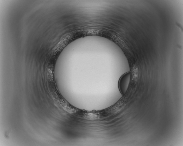 X0000100360522200806201607