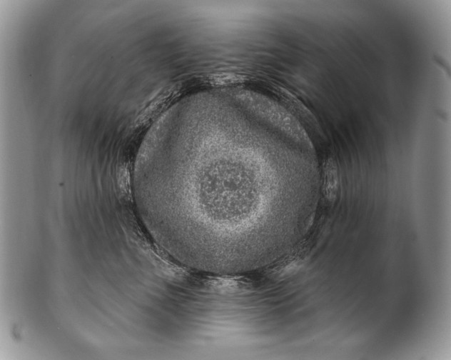 X0000100360523200806201607