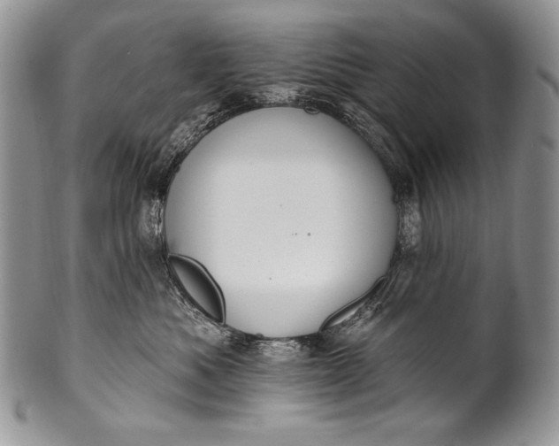 X0000100360525200806201607