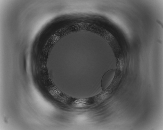 X0000100360526200806201607