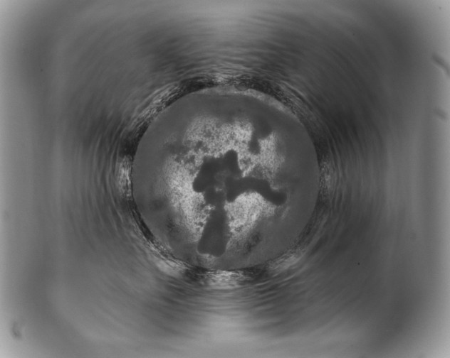 X0000100360527200806201607