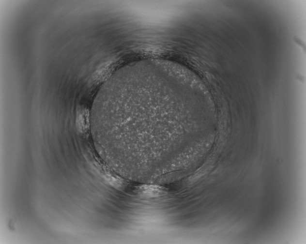 X0000100360528200806201607