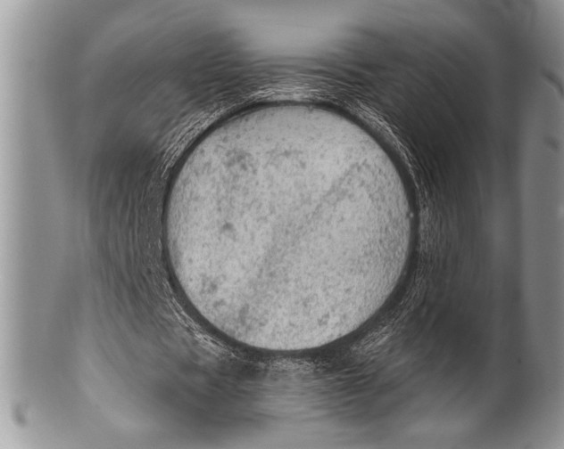 X0000100360529200806201607