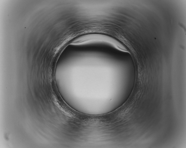 X0000100360530200806201607