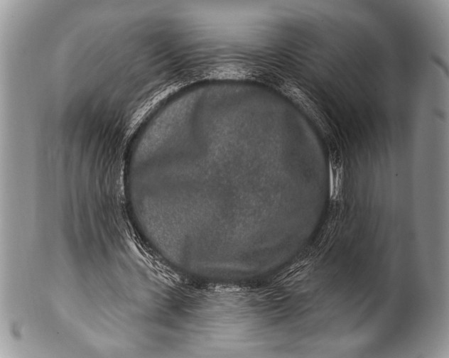 X0000100360531200806201607