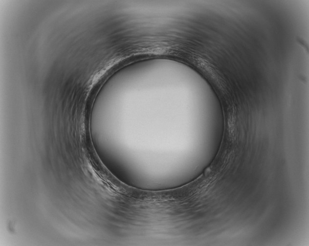 X0000100360532200806201607