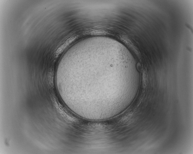 X0000100360533200806201607