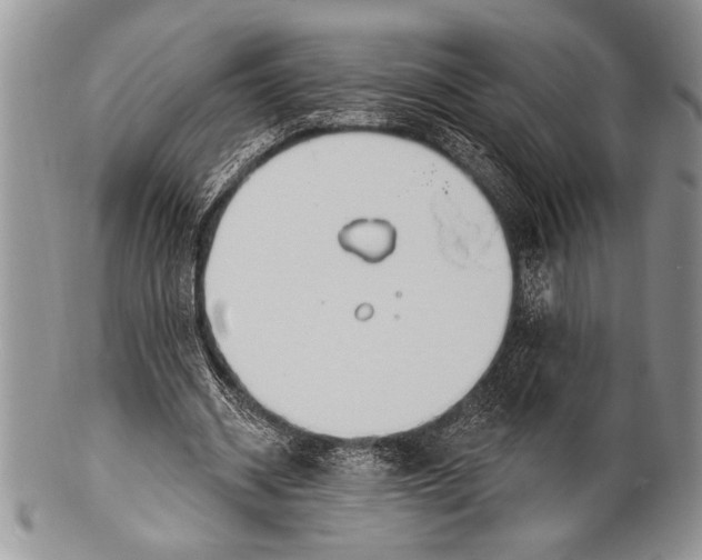 X0000100360534200806201607