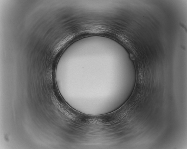 X0000100360535200806201607