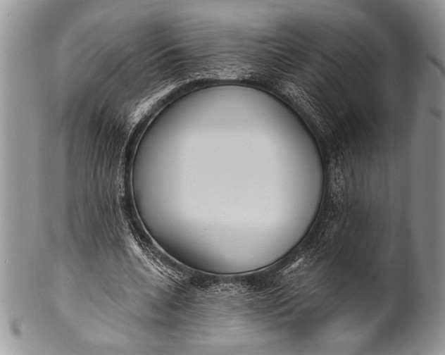 X0000100360536200806201607