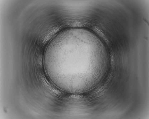 X0000100360537200806201607