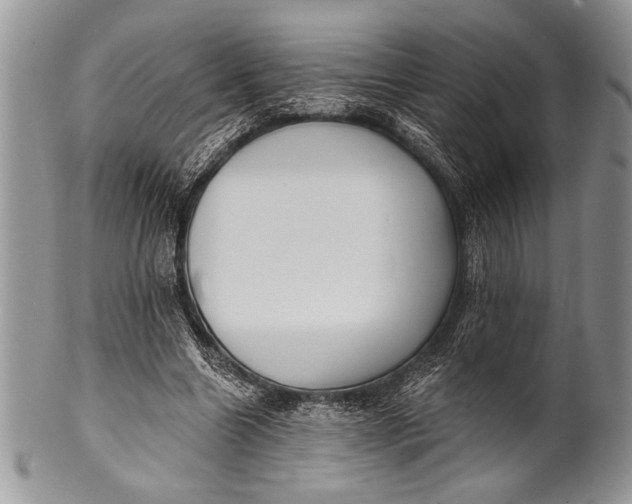 X0000100360538200806201607