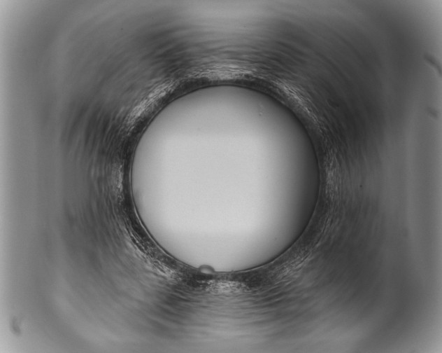 X0000100360539200806201607