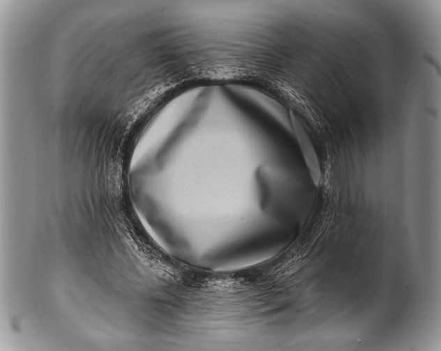 X0000100360540200806201607